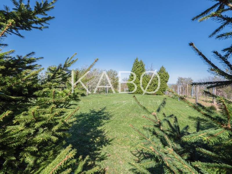 Čarovná oáza pokoja – Viničná chata s rozľahlým pozemkom 1361 m²