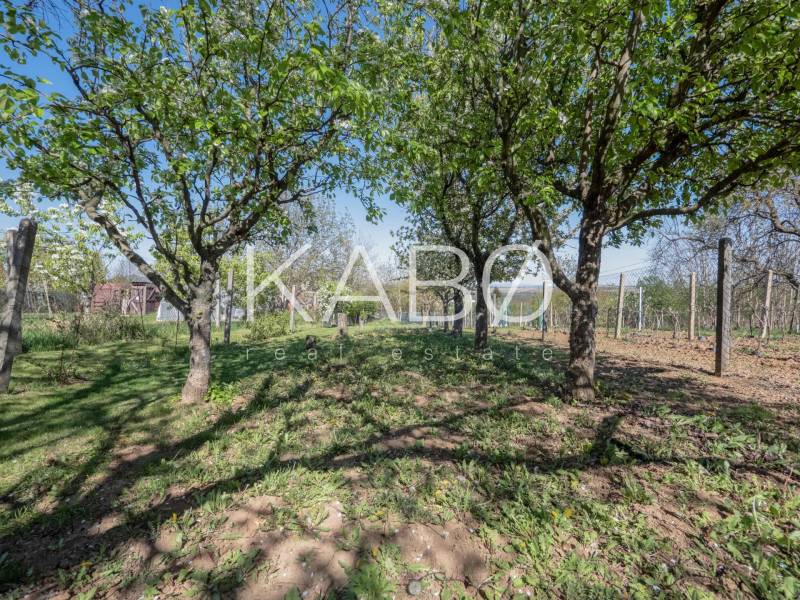 Čarovná oáza pokoja – Viničná chata s rozľahlým pozemkom 1361 m²