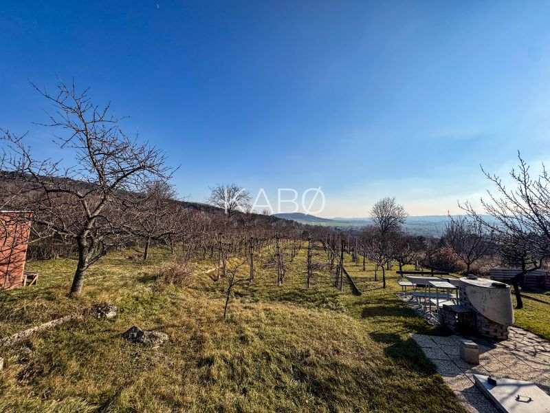 Krásna vinica pri Nitre - 895 m2 
