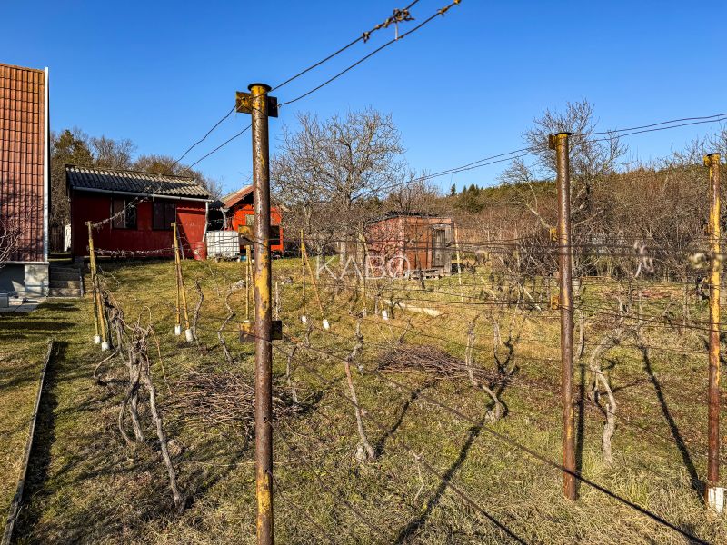Krásna vinica pri Nitre - 895 m2 