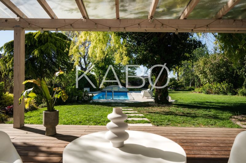 Dom medzi stromami: Nadčasová architektúra v Cabaj-Čápore
