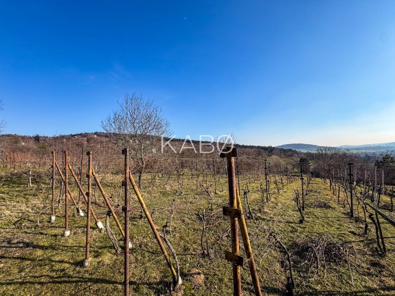 Vinica na oddych pri Nitre - 895 m2 